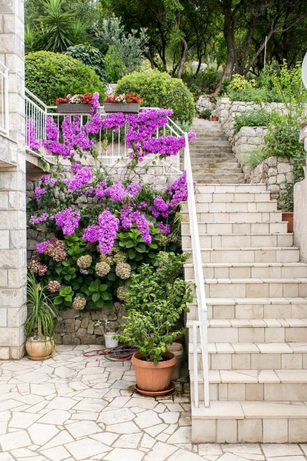 Apartments Maria Donje Celo Dış mekan fotoğraf